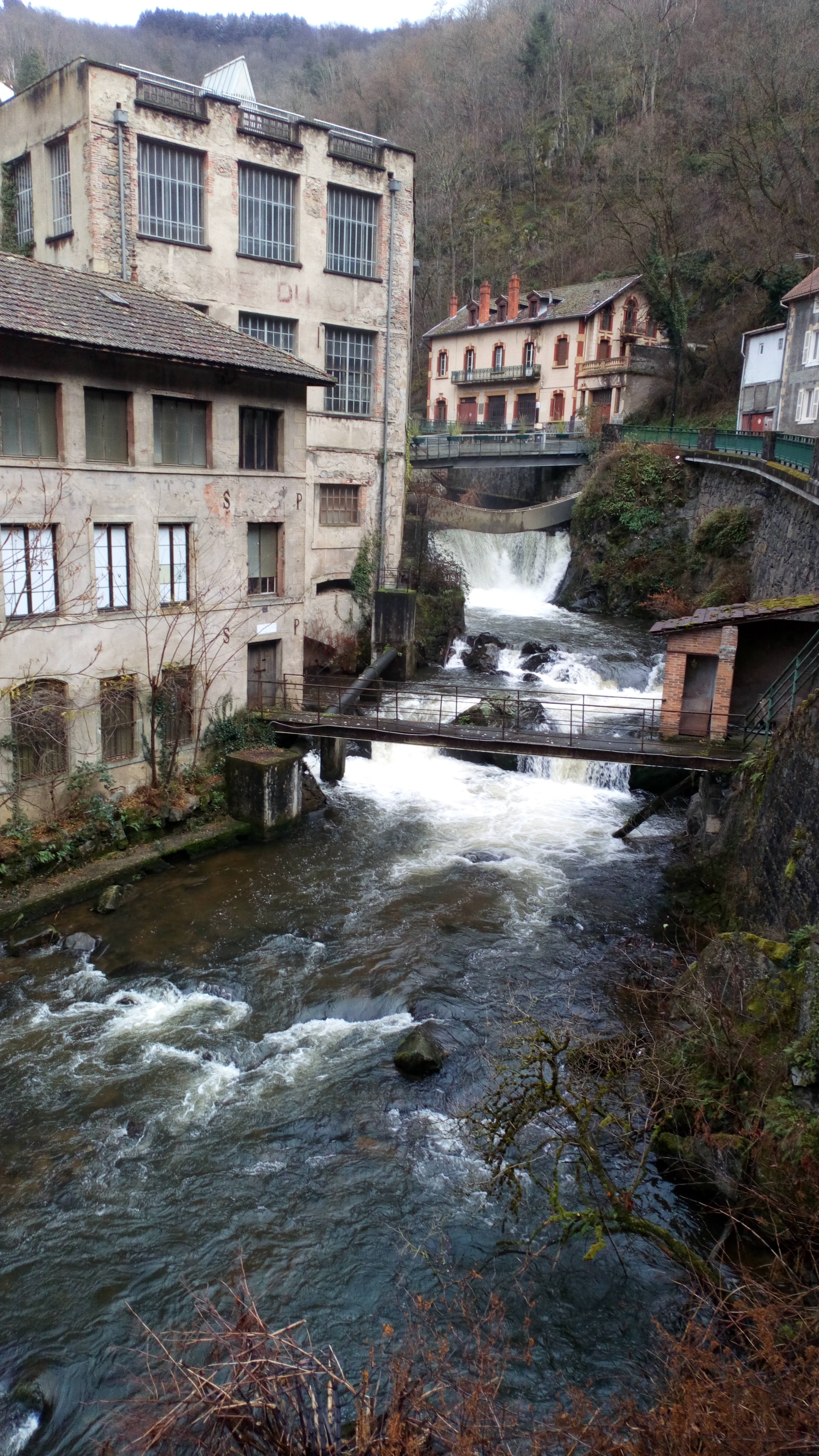 Photo n° 11 de l'avis de nounours.e fait le 30/12/2020 à 14:00