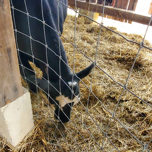 Produce Market «Miller Farms», reviews and photos, 10140 Piscataway Rd, Clinton, MD 20735, USA