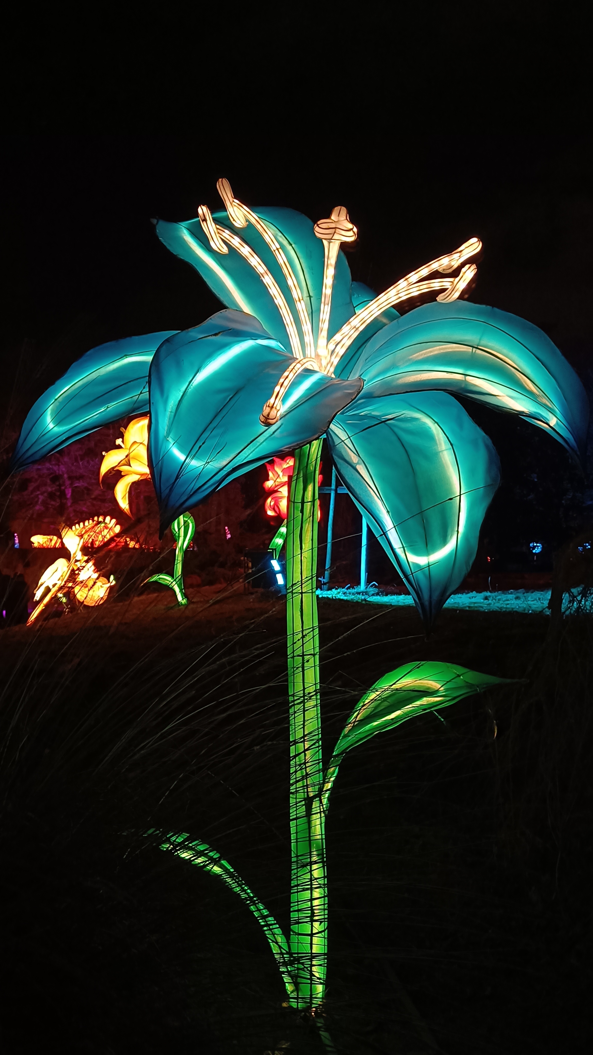 Photo n° 3 de l'avis de Nathalie.e fait le 06/01/2024 à 10:32