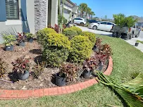 Nate Landscaping LLC - Car repair in , Tampa - Rated 0.0/5
