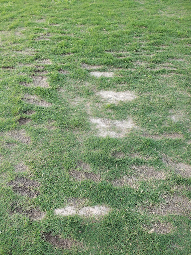 Golf Course «Jim McLean Golf Center», reviews and photos, 8940 Creek Run Rd, Fort Worth, TX 76120, USA