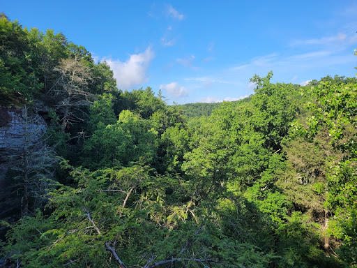 Tourist Attraction «Ozone Falls», reviews and photos, 14563 TN-1, Rockwood, TN 37854, USA