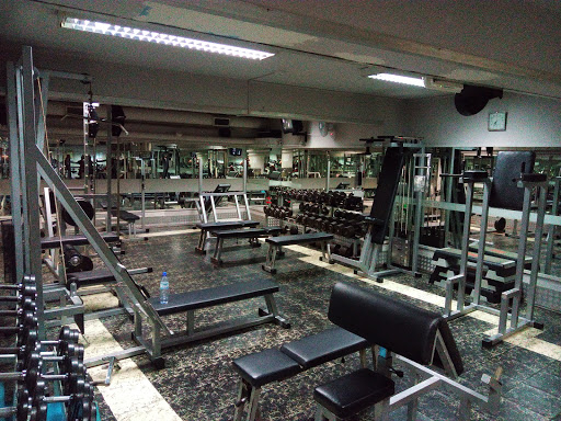 Gym Apollo Lda