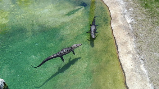 Park «Larry and Penny Thompson Park», reviews and photos, 12451 SW 184th St, Miami, FL 33177, USA