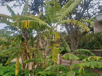 Auckland Botanic Gardens Parking