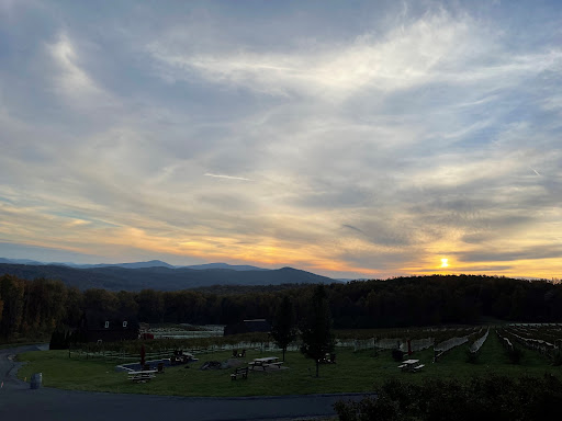 Winery «Fox Meadow Winery LLC», reviews and photos, 3310 Freezeland Rd, Linden, VA 22642, USA