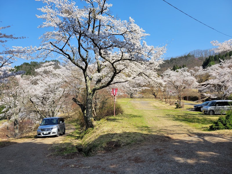 畑ケサカ桜公園
