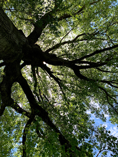 Park «Kawameeh Park», reviews and photos, 1750 Morris Ave, Union, NJ 07083, USA