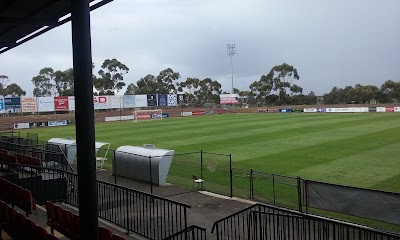 Photos of Melbourne Knights Football Club