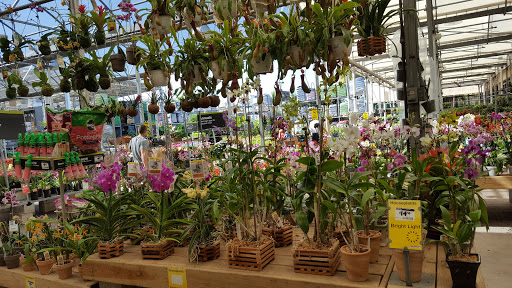 Home Improvement Store «The Home Depot», reviews and photos, 3860 Northlake Blvd, Lake Park, FL 33403, USA