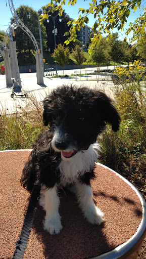 Tourist Attraction «Beale Street Landing», reviews and photos, 251 Riverside Dr, Memphis, TN 38103, USA