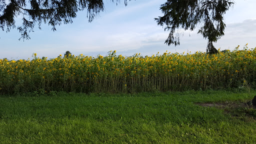 Cider Mill «Virtue Cider», reviews and photos, 2170 62nd St, Fennville, MI 49408, USA