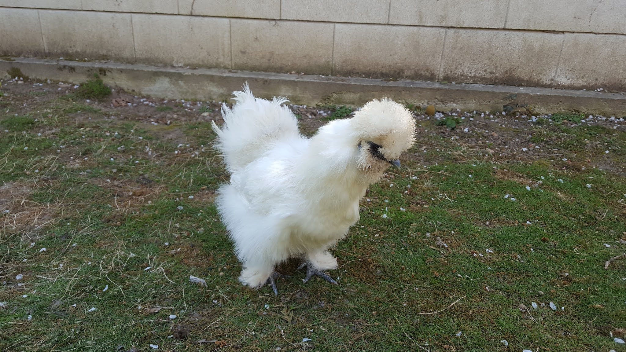 Photo n° 1 de l'avis de Patrick.e fait le 21/03/2021 à 13:42