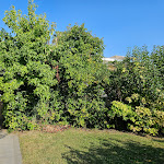 Photo n°19 de l'avis de IBdd66. fait le 15/08/2018 à 05:52 sur le  Parc Hotel Germano Suites & Apartments à Bardolino