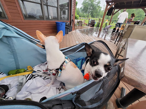 Winery «Robibero Winery», reviews and photos, 714 Albany Post Rd, New Paltz, NY 12561, USA