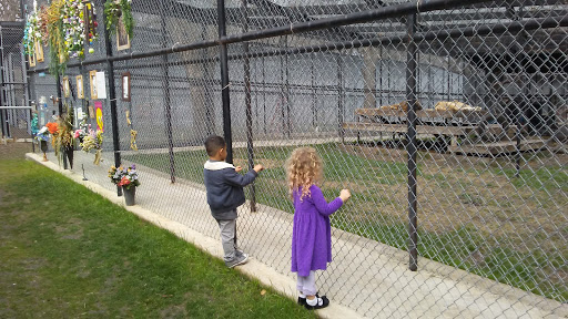 Wildlife Rescue Service «In-Sync Exotics», reviews and photos, 3430 Skyview Dr, Wylie, TX 75098, USA