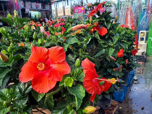 Home Improvement Store «The Home Depot», reviews and photos, W 12871 I-10, San Antonio, TX 78249, USA