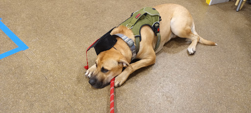 Pet Supply Store «PetSmart», reviews and photos, 2901 Texas Sage Trail, Fort Worth, TX 76177, USA