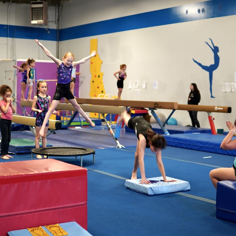 Gym Stars Gymnastics