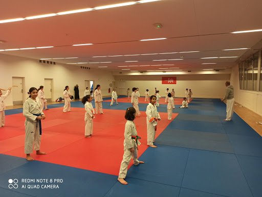 Association Taekwondo et Arts Coréens Lillois