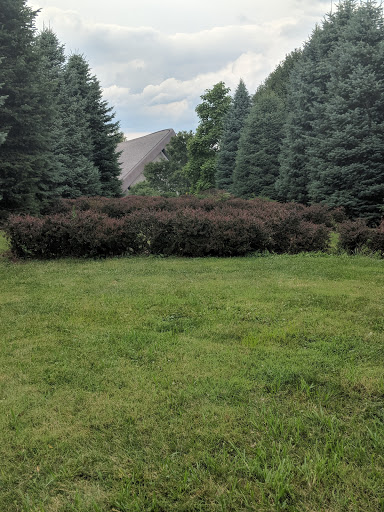 Live Music Venue «Blossom Music Center», reviews and photos, 1145 W Steels Corners Rd, Cuyahoga Falls, OH 44223, USA