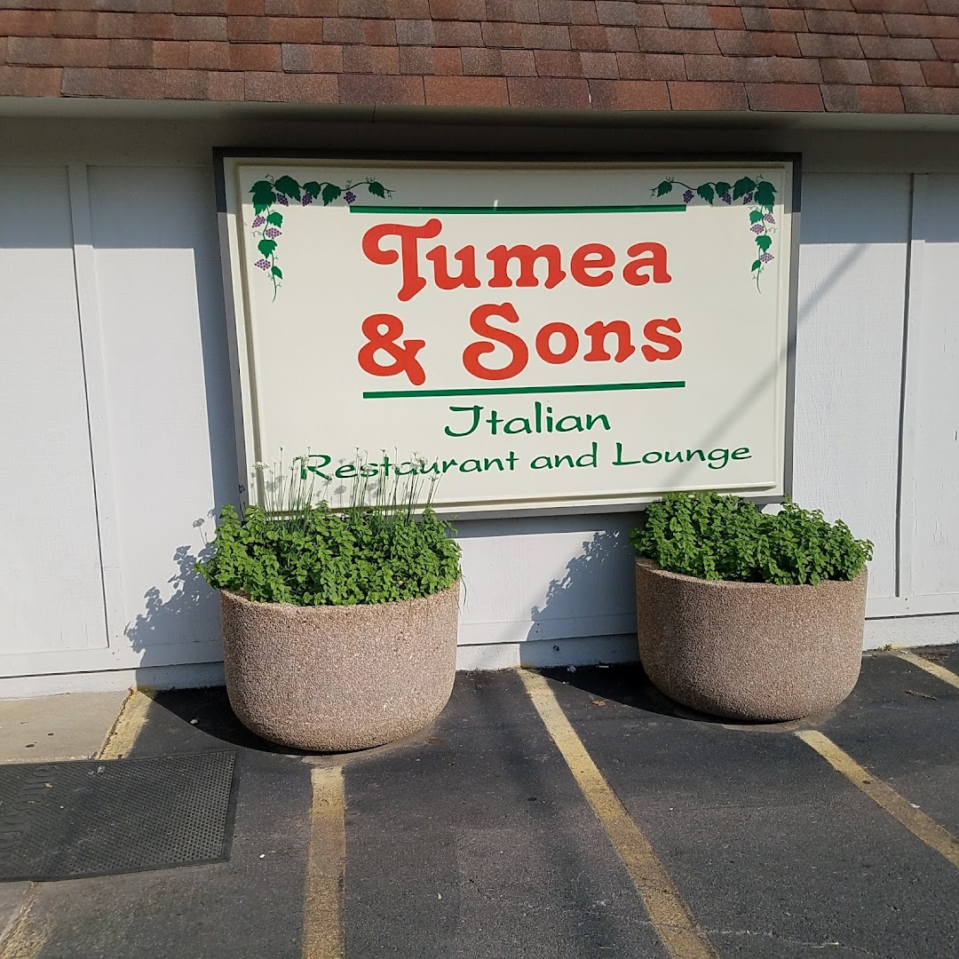 Tumea & Sons