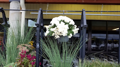 Grocery Store «Quality Food Center», reviews and photos, 1009 Monroe Ave, Enumclaw, WA 98022, USA