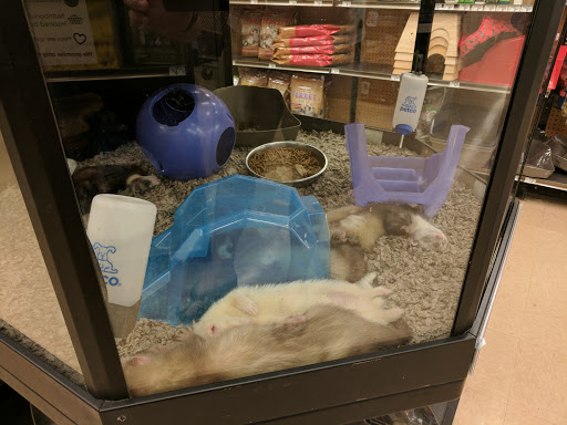 Pet Supply Store «Petco Animal Supplies», reviews and photos, 2095 N Harris Blvd, Layton, UT 84041, USA