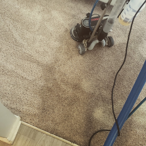 SPITz Carpet Cleaning