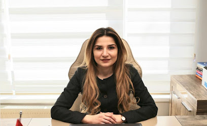 Ankara İcra Avukatı | Ankara Haciz Kaldırma Avukatı, Ankara Boşanma Avukatı, Ankara Vergi Cezası Avukatı | Anka Hukuk Bürosu