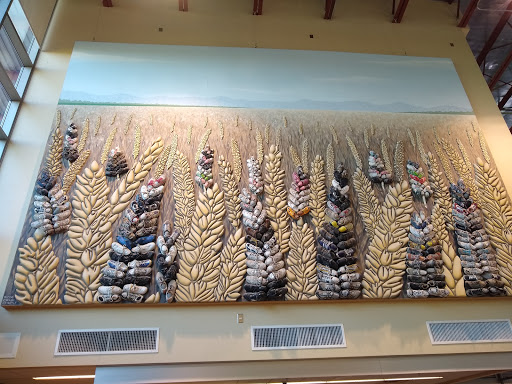 Recreation Center «Tumbleweed Recreation Center», reviews and photos, 745 E Germann Rd, Chandler, AZ 85286, USA