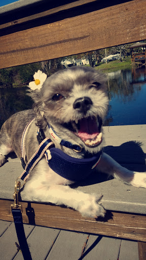 Park «Secret Lake Park», reviews and photos, 200 N Triplet Lake Dr, Casselberry, FL 32707, USA