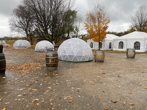 Winery «Lemon Creek Winery», reviews and photos, 533 E Lemon Creek Rd, Berrien Springs, MI 49103, USA