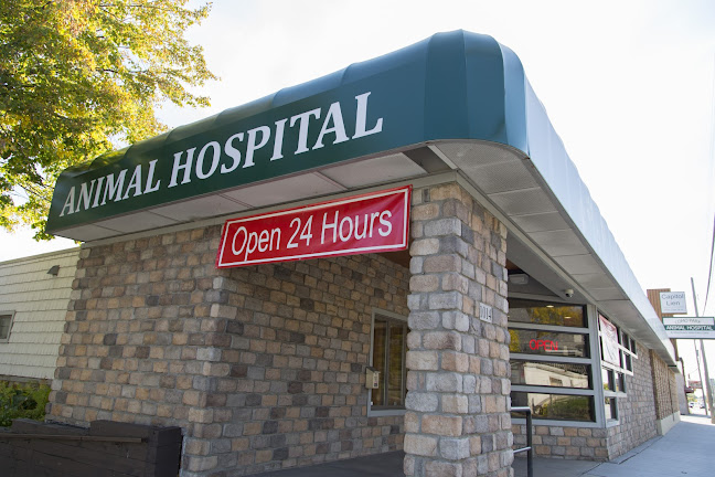Reviews of Como Park Animal Hospital and AfterHours Veterinary Care in Minneapolis - Veterinarian