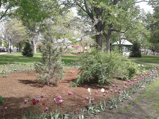 Museum «Holland Museum», reviews and photos, 31 W 10th St, Holland, MI 49423, USA