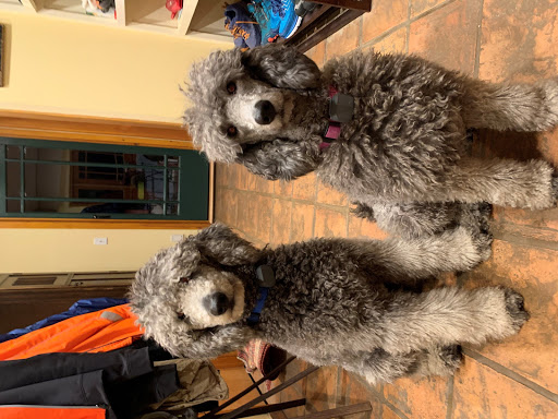 Pet Supply Store «Croton Pet Station», reviews and photos, 420 S Riverside Ave, Croton-On-Hudson, NY 10520, USA