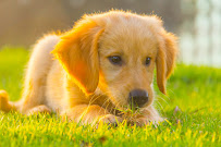 Photo by John Williams - Photo 2 - Car repair in , Escondido