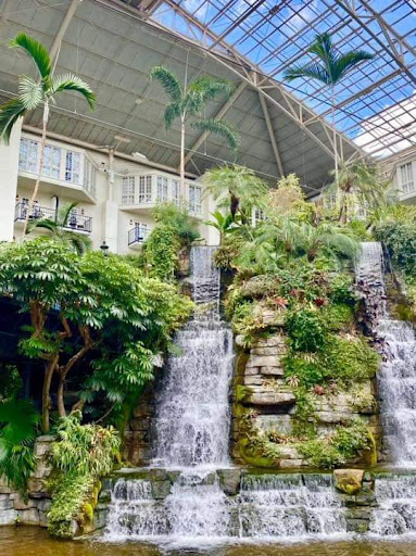 Bus Tour Agency «Rek Travel, LLC», reviews and photos, 5825 W Irving Park Rd, Chicago, IL 60634, USA