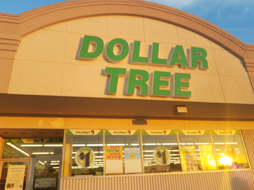 Dollar Store «Dollar Tree», reviews and photos, 3081 Dixie Hwy, Edgewood, KY 41018, USA