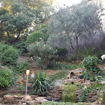 Photo n° 3 de l'avis de Aurore.T fait le 20/07/2020 à 13:10 pour Côté Sud à Uchaux