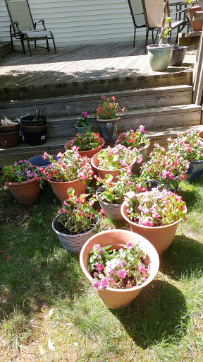 Home Improvement Store «The Home Depot», reviews and photos, 281 NJ-10 #04, Succasunna, NJ 07876, USA