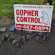 Gopher Patrol