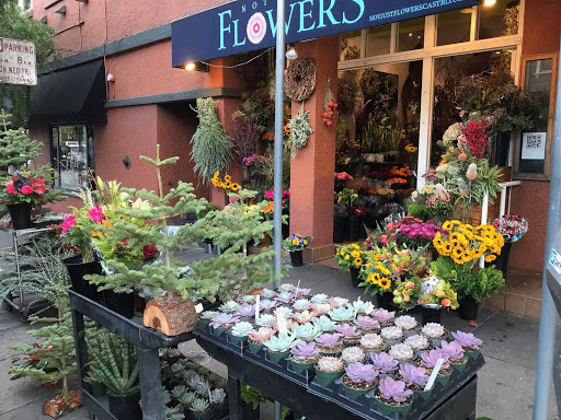 Florist «Not Just Flowers», reviews and photos, 4109 18th St, San Francisco, CA 94114, USA