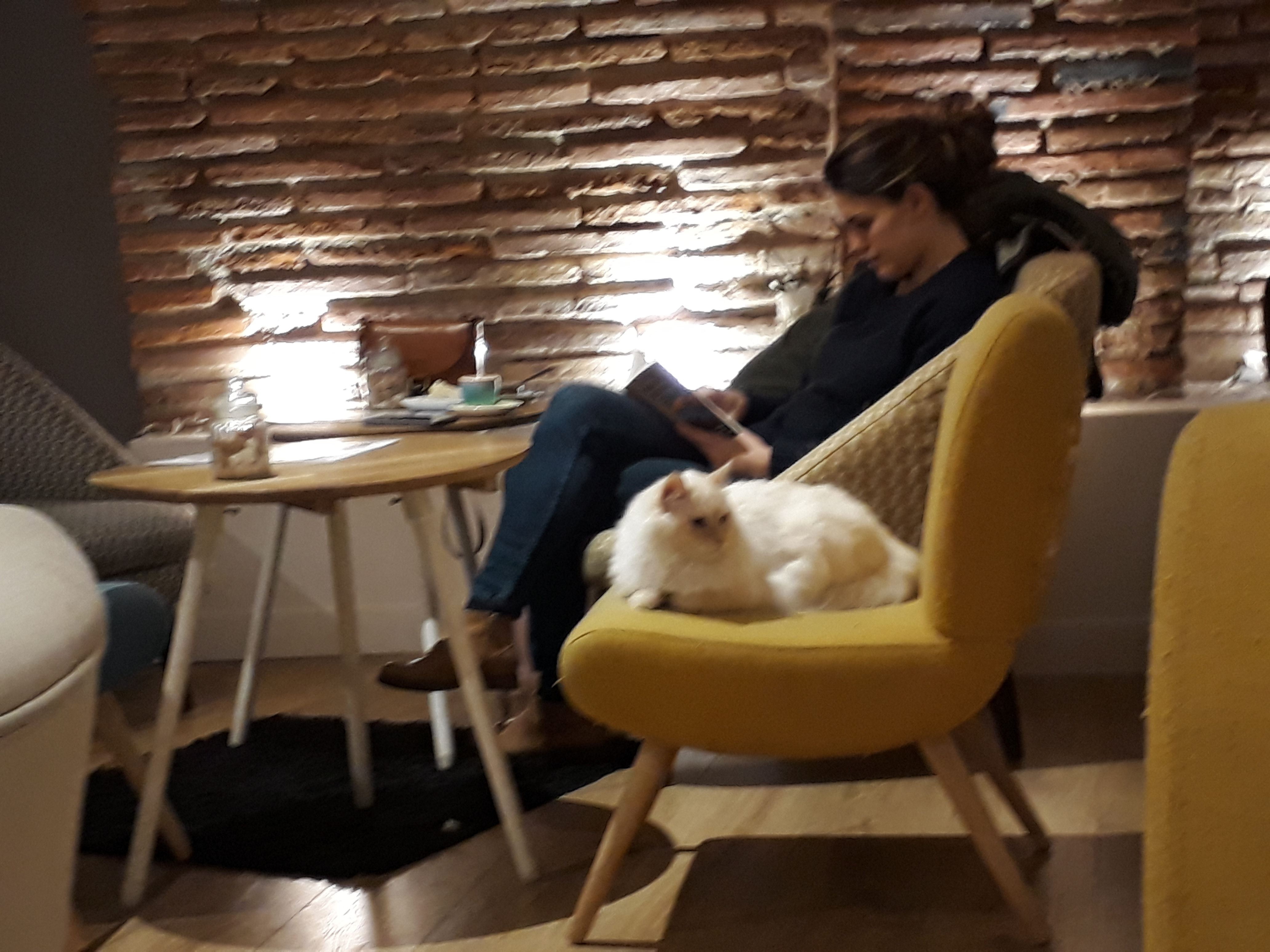 Photo n° 4 de l'avis de Genevieve.a fait le 28/12/2017 à 20:57