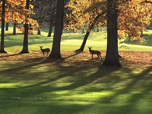 Golf Course «Indian Trails Golf Course», reviews and photos, 2776 Kalamazoo Avenue Southeast, Grand Rapids, MI 49507, USA