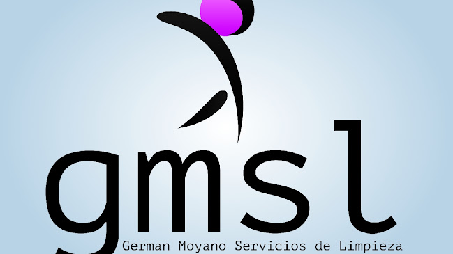 GMSL - Servicio de lavado de coches
