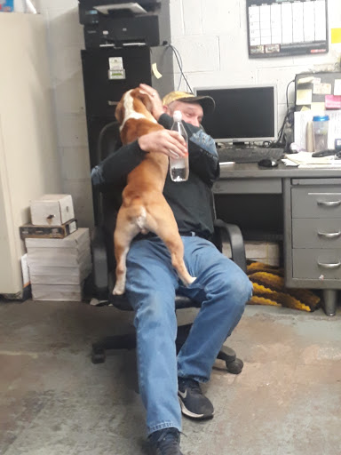 Auto Parts Store «Coopersburg Auto Parts», reviews and photos, 51 N 3rd St, Coopersburg, PA 18036, USA