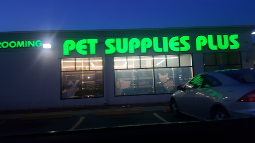 Pet Supply Store «Pet Supplies Plus», reviews and photos, 175 Memorial Ave, West Springfield, MA 01089, USA