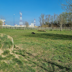 Hondenweide Verbrande Brug