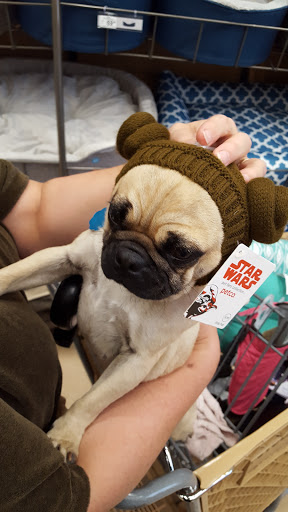 Pet Supply Store «Petco Animal Supplies», reviews and photos, 993 Branson Hills Pkwy, Branson, MO 65616, USA